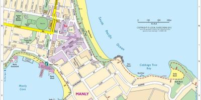 Map of manly beach